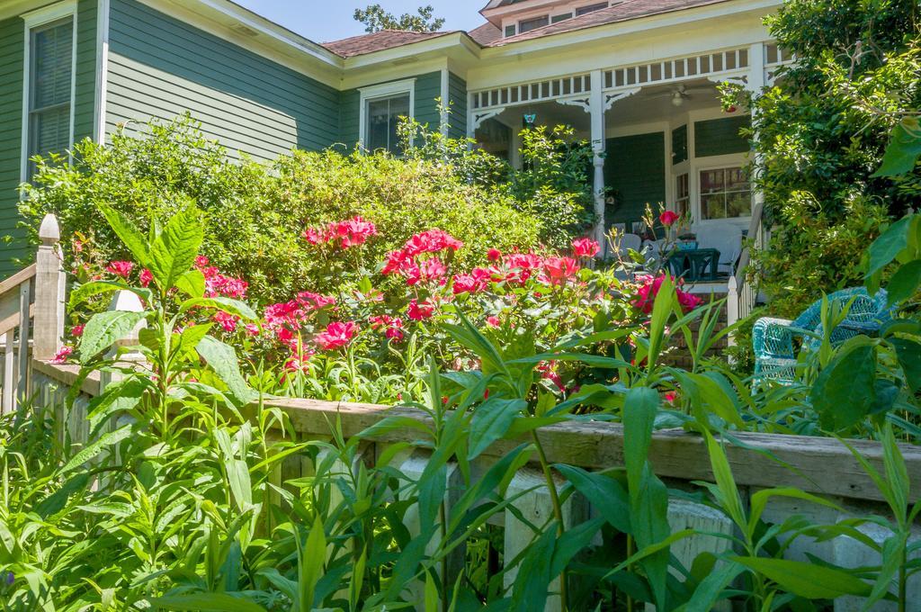 Holly House Of Hamilton Bed & Breakfast Екстериор снимка