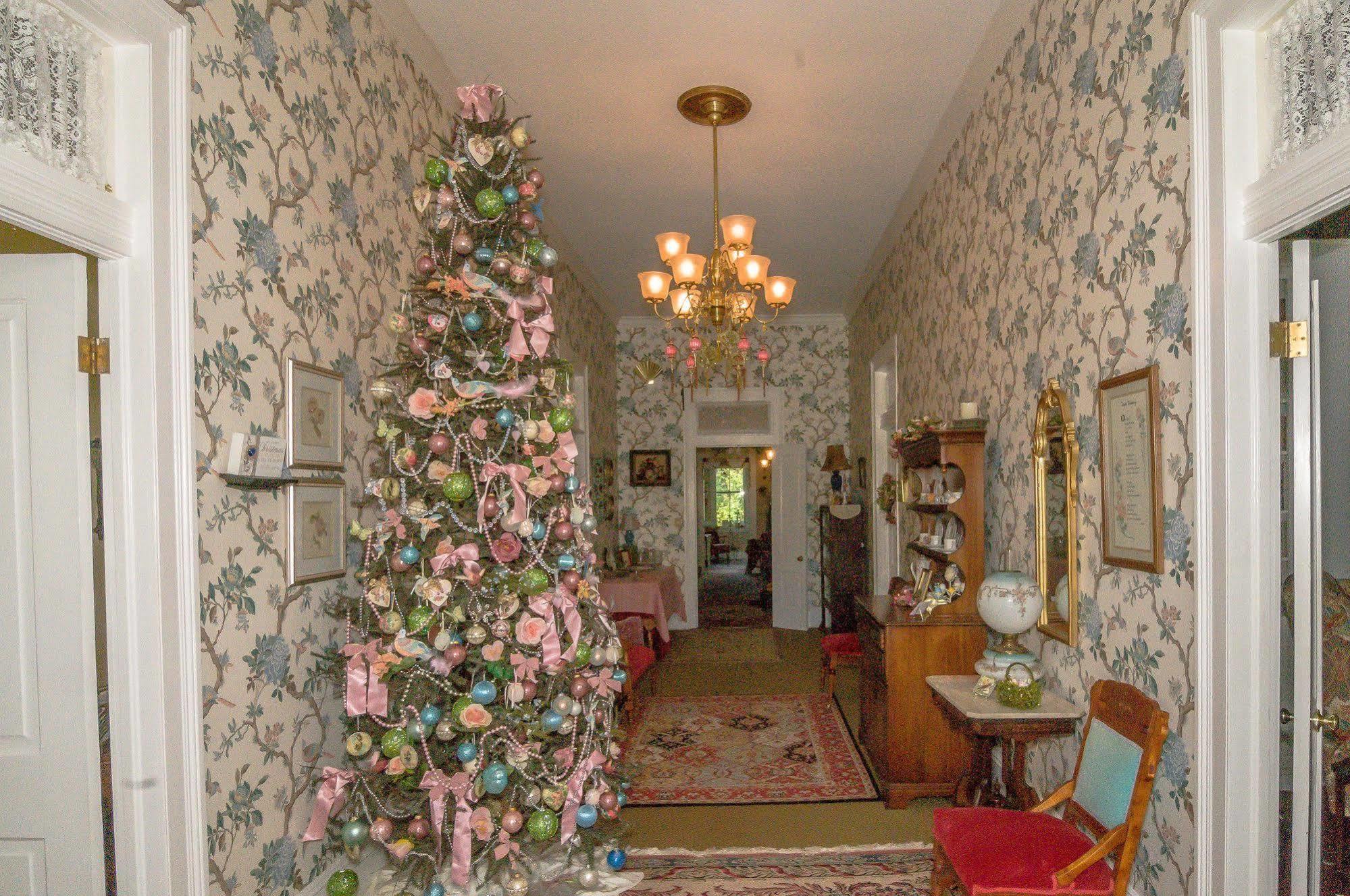 Holly House Of Hamilton Bed & Breakfast Екстериор снимка